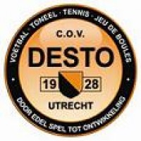 DESTO D1 (2010 / 2011) DESTO D1 (2010 / 2011)