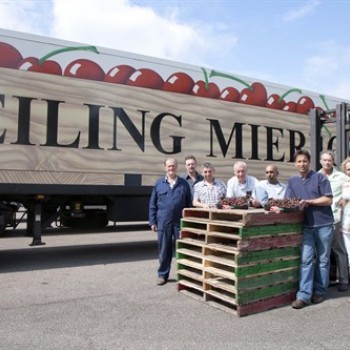 Mifano - Mierlo-Hout Mifano - Mierlo-Hout