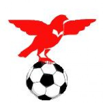 ValleyBirds - Roda 8 ValleyBirds - Roda 8