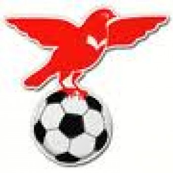 Valleivogels 4 - Roda 4