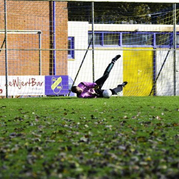 Amicitia - VVK 2-3